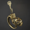Golden Cock Cage Male Chastity