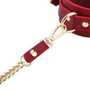 BDSM Leather Starter Kit