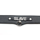 slave leather collar