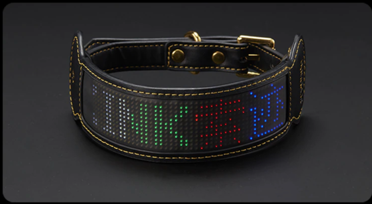 LED Light Sex Collar with bluetooth app control 