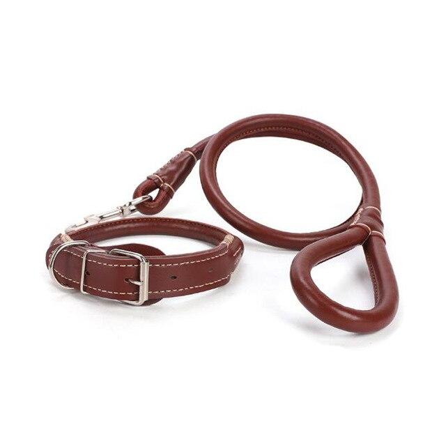Quality Leather Collar & Leash