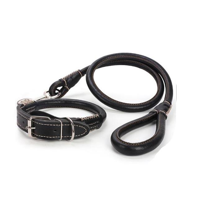 Quality Leather Collar & Leash