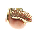 cobra chastity device cock cage 