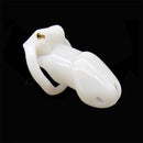 white cock cage slave masochist