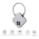 Electric BDSM chastity lock 