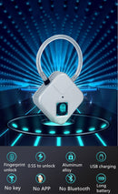 Electric BDSM chastity lock 