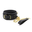 Fancy leather collar and leash 