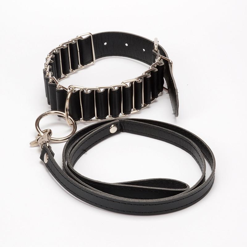 The Belt Collar & Leash