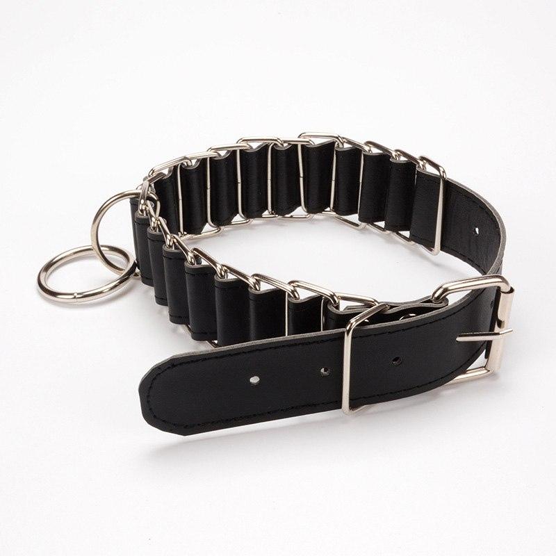fetish leather collar and leash 