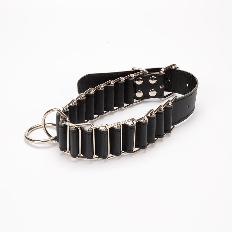 The Belt Collar & Leash