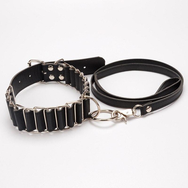 fetish leather collar and leash 