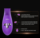 Luxury Gift Set Rechargeable Vibrators with Free Attachments and Vibrating Cock Ring