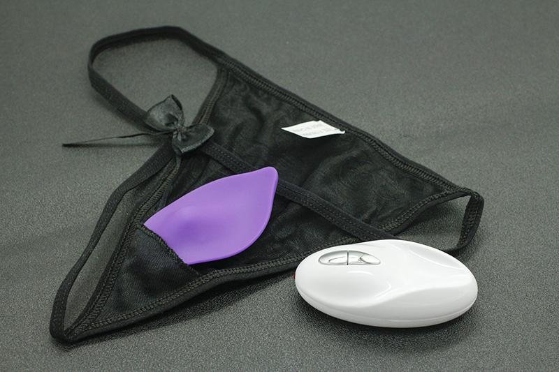 The Dirty Secret Vibrating Panties The Dirty Secret Vibrating Panties