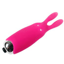 Rabbit Bullet Vibrator 