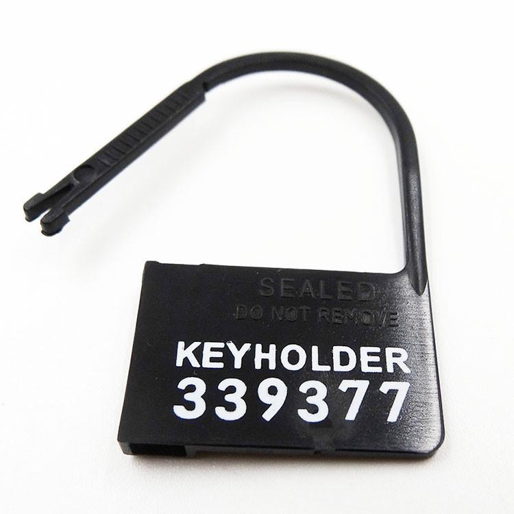 disposable serial numbered locks 