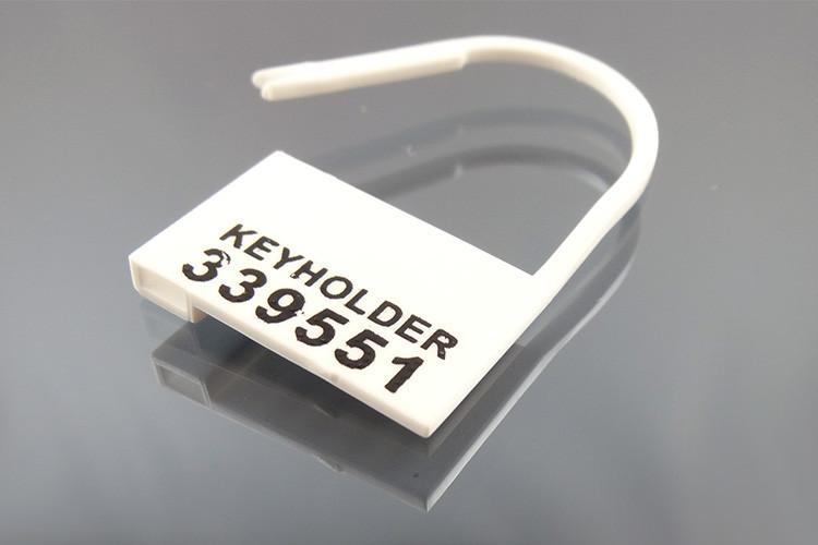 disposable serial numbered locks 