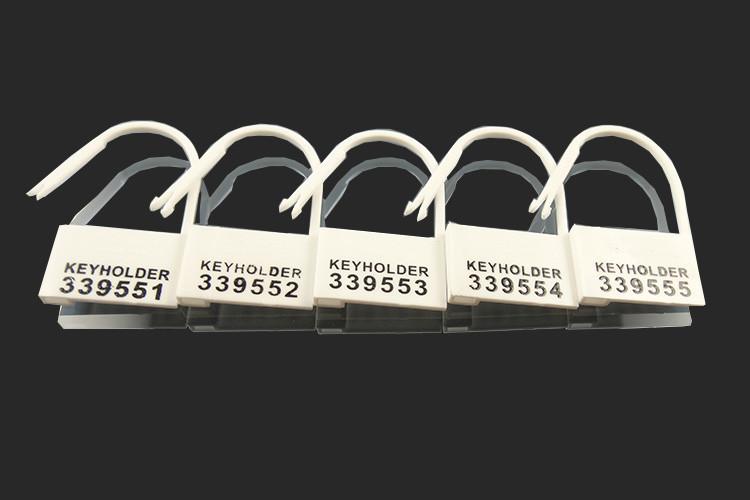 disposable serial numbered locks 