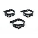 slave leather collar 