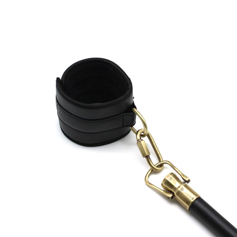 sex spreader bar