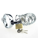 asylum cbt cock cage 