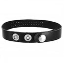 leather id collar bdsm